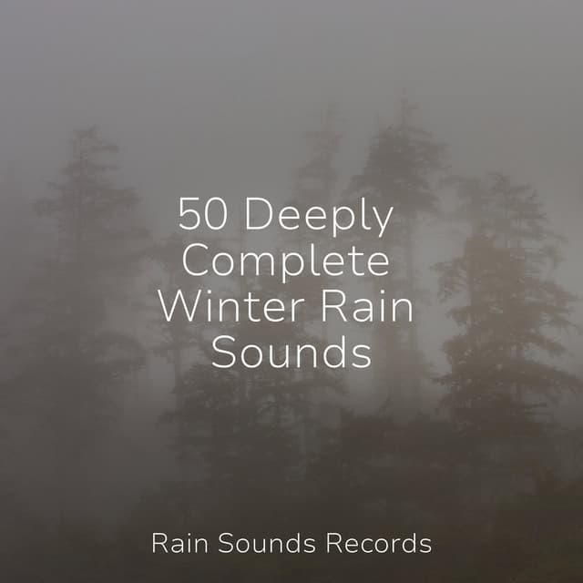 50 Deeply Complete Winter Rain Sounds - Shakuhachi Sakano