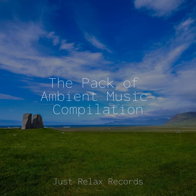 The Pack of Ambient Music Compilation - Lullabies for Deep Meditation