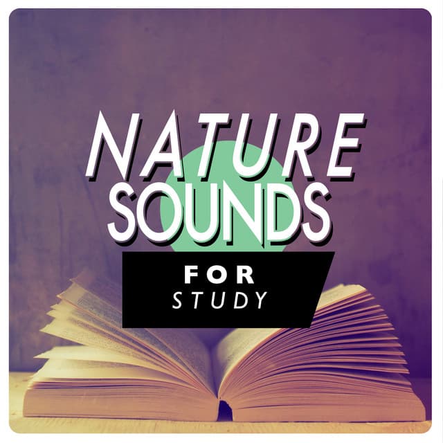 Nature Sounds for Study - Exam Study Nature Music Nature Sounds