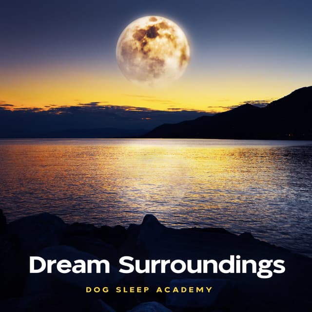 Dream Surroundings - Dog Sleep Academy