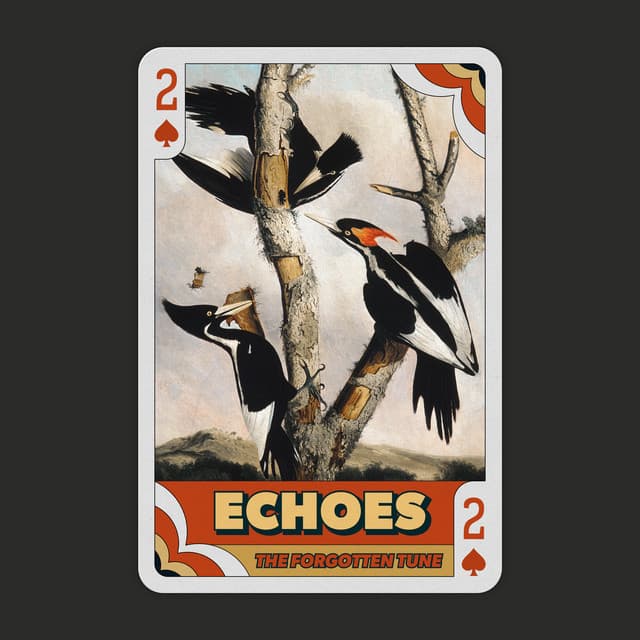 Echo: a Forgotten Tune - Relaxation Guru