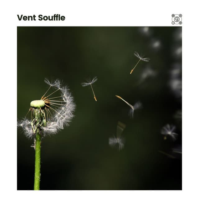 Vent Souffle - Bruit Blanc