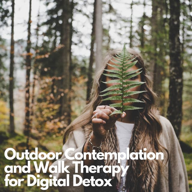 Outdoor Contemplation and Walk Therapy for Digital Detox - Therapeutic Music Zone