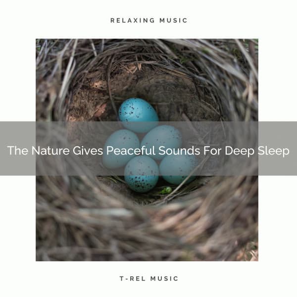 The Nature Gives Peaceful Sounds For Deep Sleep - Water Soundscapes