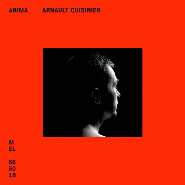 Anima - Arnault Cuisinier
