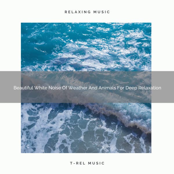 Beautiful White Noise Of Weather And Animals For Deep Relaxation - Noise Gravity