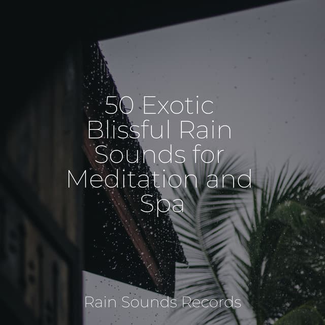 50 Exotic Blissful Rain Sounds for Meditation and Spa - Yoga Music