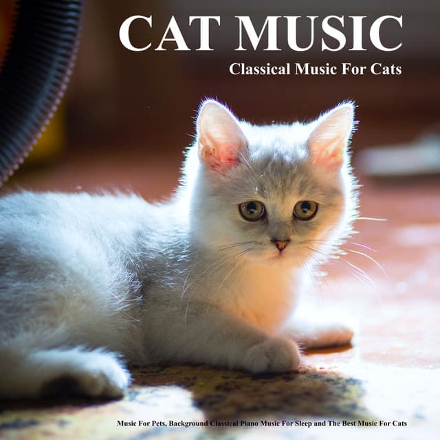 Cat Music: Classical Music For Cats, Music For Pets, Background Classical Piano Music For Sleep and The Best Music For Cats - Cat Music