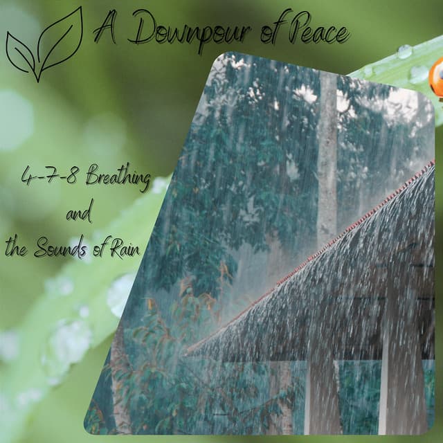 A Downpour of Peace: 4-7-8 Breathing and the Sounds of Rain - Relaxaction