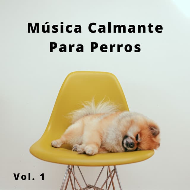 4 Patas, Música Calmante Para Perros Vol. 1 - Tiempo de relajación natural