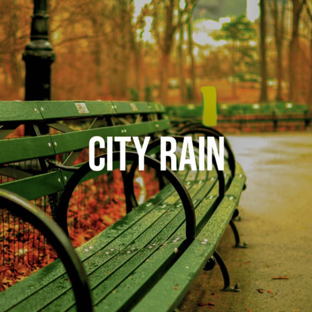 City Rain - Nature on Record