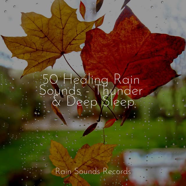 50 Healing Rain Sounds - Thunder & Deep Sleep - Relaxation
