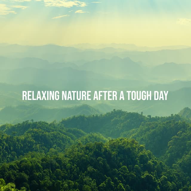 Relaxing Nature After a Tough Day. Irreplaceable After-Work Measure - Relaxation New Age Melodies