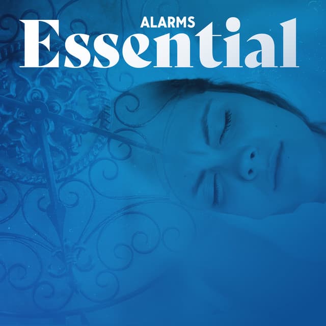 Wake Me Up - Sean Evenett