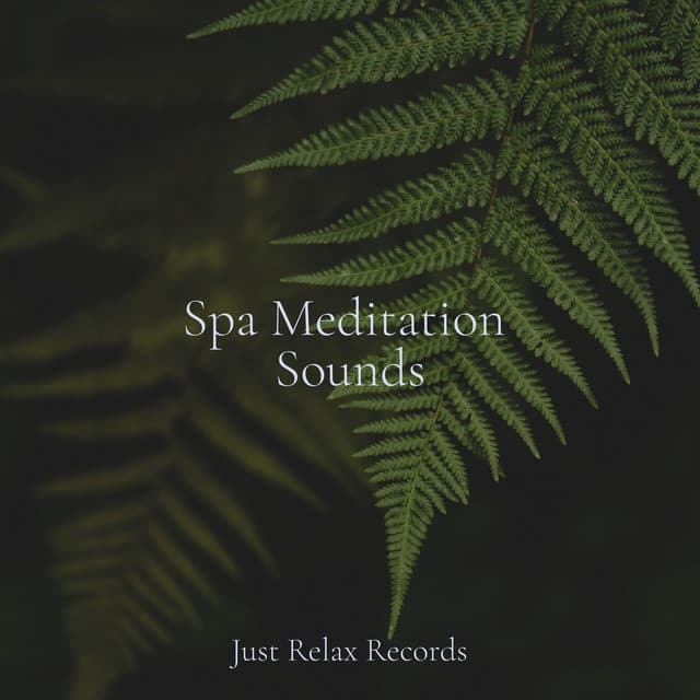 Spa Meditation Sounds - Musica para Dormir Dream House