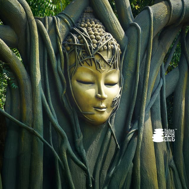 Connessione con la natura - Relax musica zen club