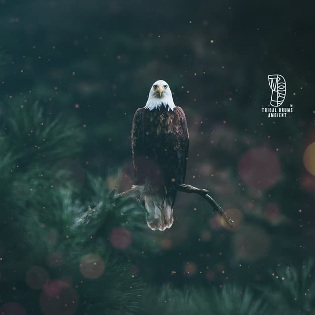 Path of the Eagle: Native American Soul Exploration and Journeying - Tribal Drums Ambient