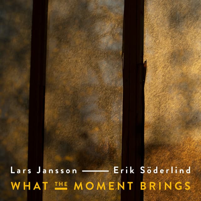 What The Moment Brings - Lars Jansson