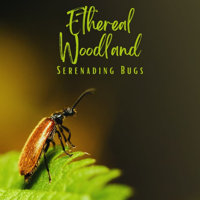Ethereal Woodland: Serenading Bugs - The Nature Project