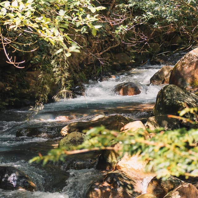 Neural Nirvana: Chill Music Water Brainwaves - Neural Oscillations Alpha Sounds