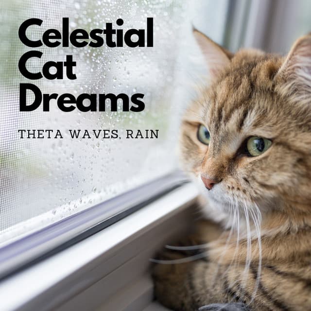 Celestial Cat Dreams: Theta Waves, Rain - Soothing Cat Music