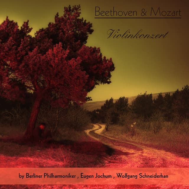 Beethoven & Mozart: Violinkonzert - Berliner Philharmoniker