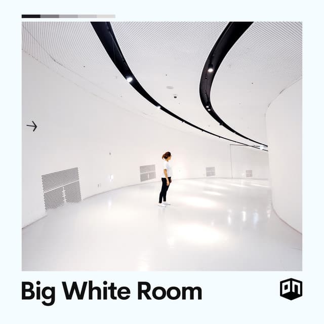 Big White Room - White Noise Radiance