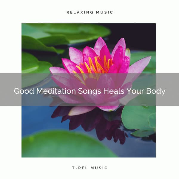 Good Meditation Songs Heals Your Body - Sanctuary Of Relax