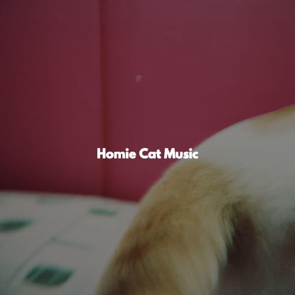 Homie Cat Music - Playlist Música para Dormir