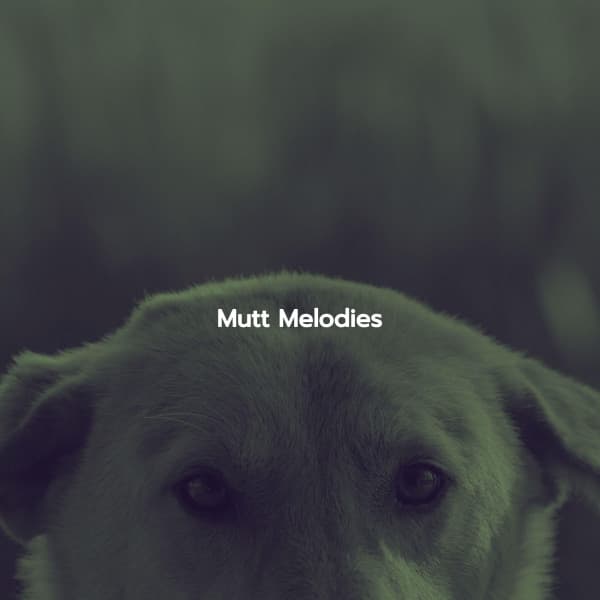 Mutt Melodies - Jazz Collections for Reading