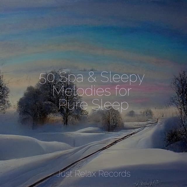50 Spa & Sleepy Melodies for Pure Sleep - Musica Romantica