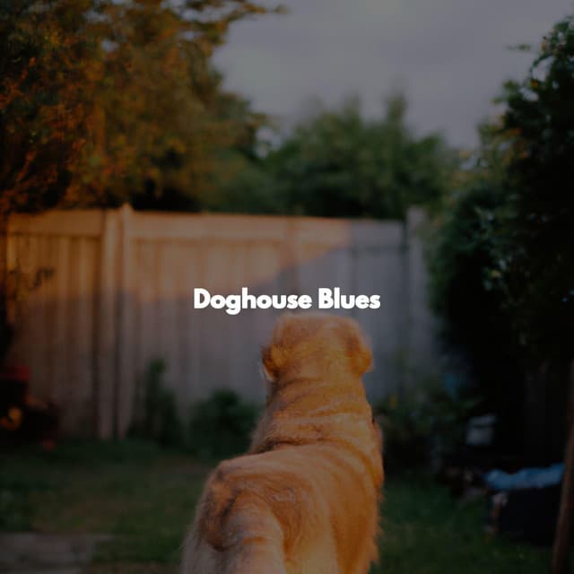 Doghouse Blues - Jazzy VIbes for Study Time