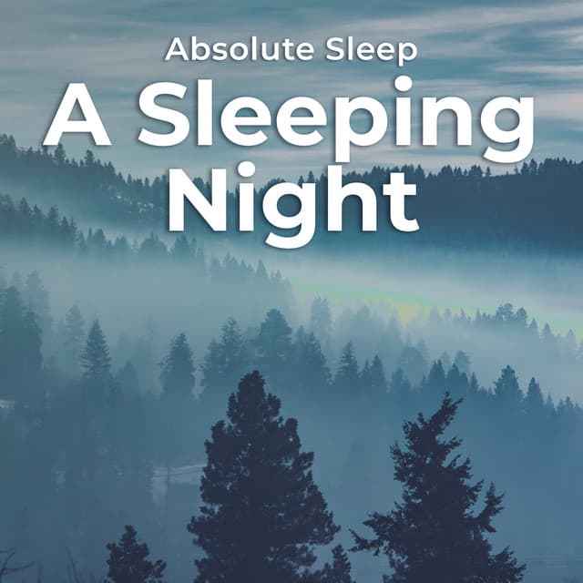 A Sleeping Night - Absolute Sleep