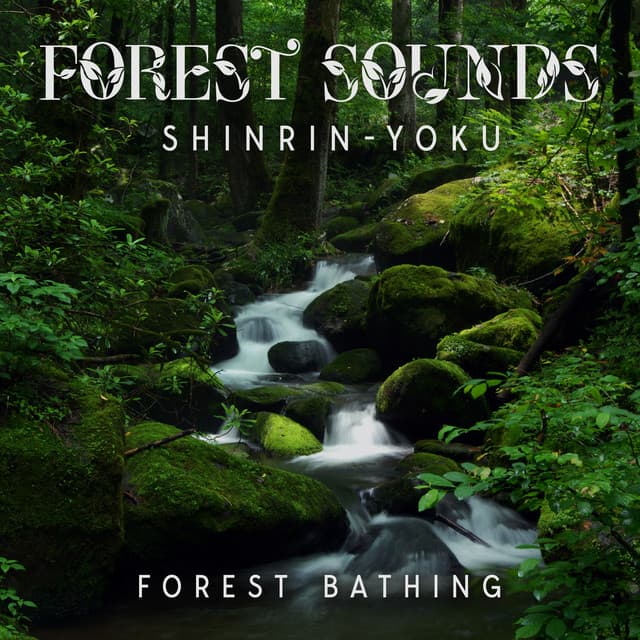 Forest Sounds: Shinrin-Yoku , Use Forest Bathing for Immune Boosting, A Serene Forest Bath Accompanied by Gentle Ambient Tones - Joshua Forest
