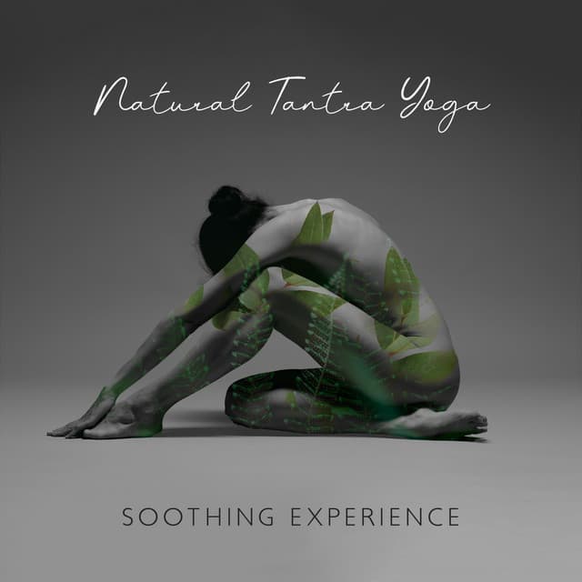 Natural Tantra Yoga - Calm Nature Oasis