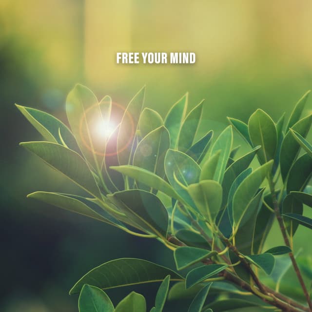 Free Your Mind - Rain Sounds Nature Collection
