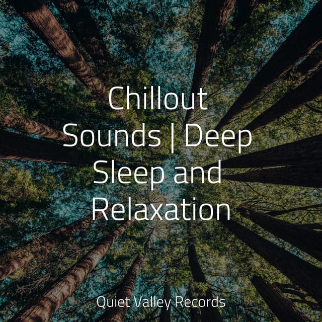 Chillout Sounds | Deep Sleep and Relaxation - Mother Nature FX