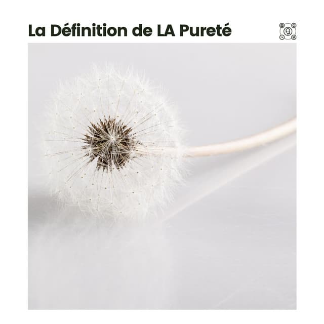 La Définition de LA Pureté - Bruit Blanc Dormir