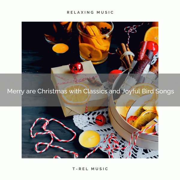Merry are Christmas with Classics and Joyful Bird Songs - Calming Sounds