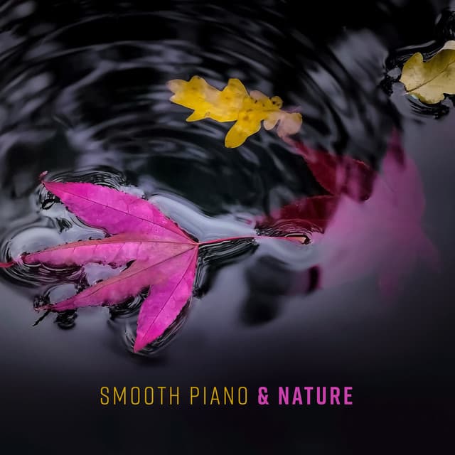 Smooth Piano & Nature – Inspiring Jazz, Black & White Relaxation, Lounge of Peace, Best Soft Vibes - Piano Jazz Background Music Masters