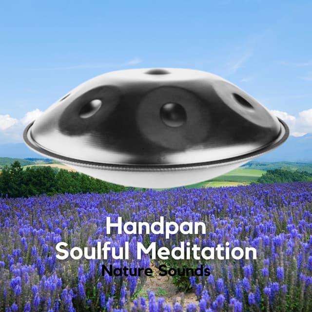 Handpan, Soulful Meditation - Relaxing Hang Drum Nature