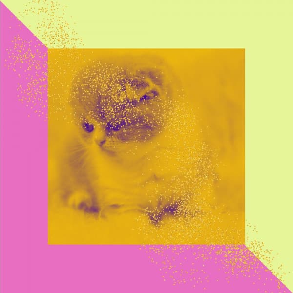 Echoes of Comfy Cats - Cat Total Relax