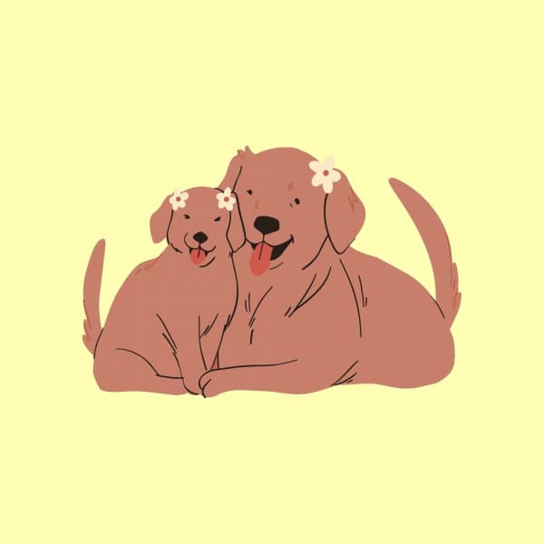 Quintet Jazz - Relax My Puppy