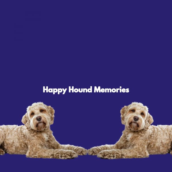 Happy Hound Memories - Study & Chill