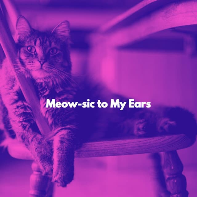 Meow-sic to My Ears - Cat Music Hour