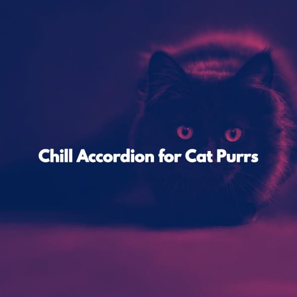 Chill Accordion for Cat Purrs - Musica para Leer Playlist