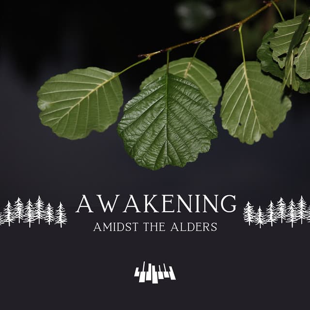 Awakening Amidst the Alders - Piano Music Spa