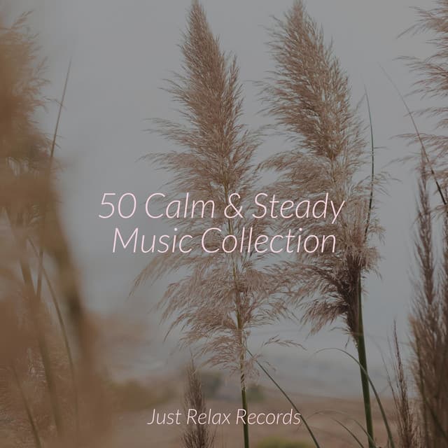 50 Calm & Steady Music Collection - Instrumental