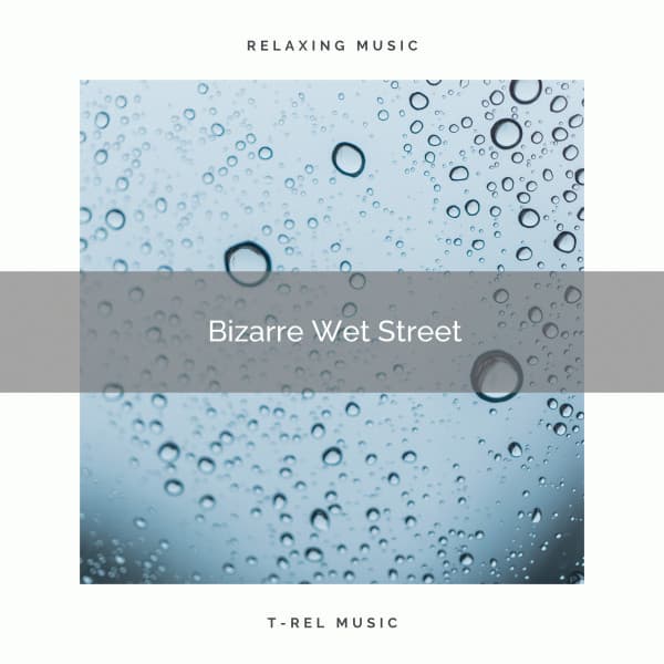 Bizarre Wet Street - Total ASMR