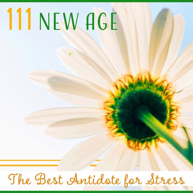 111 New Age - Less Stress Music Academy